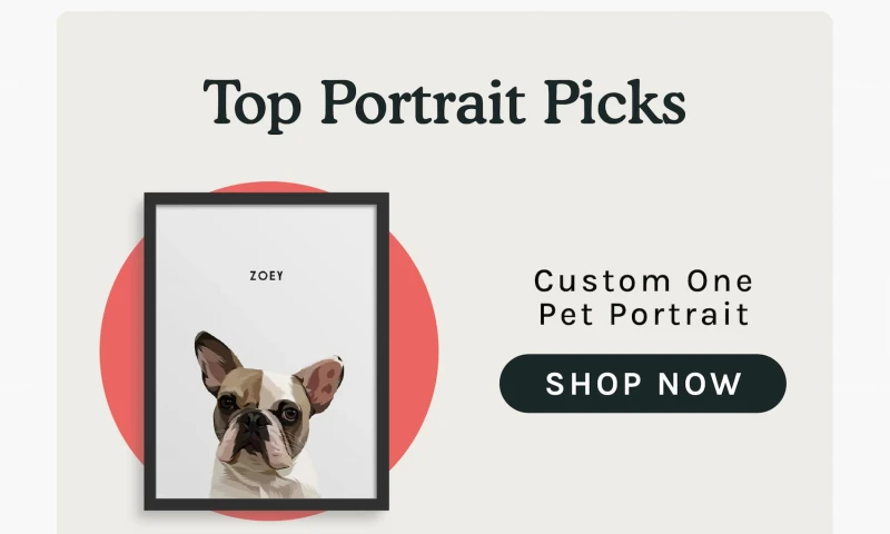 One Portrait