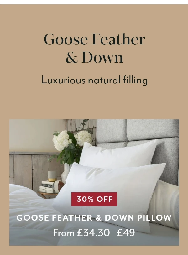 Goose Feather & Down Pillow