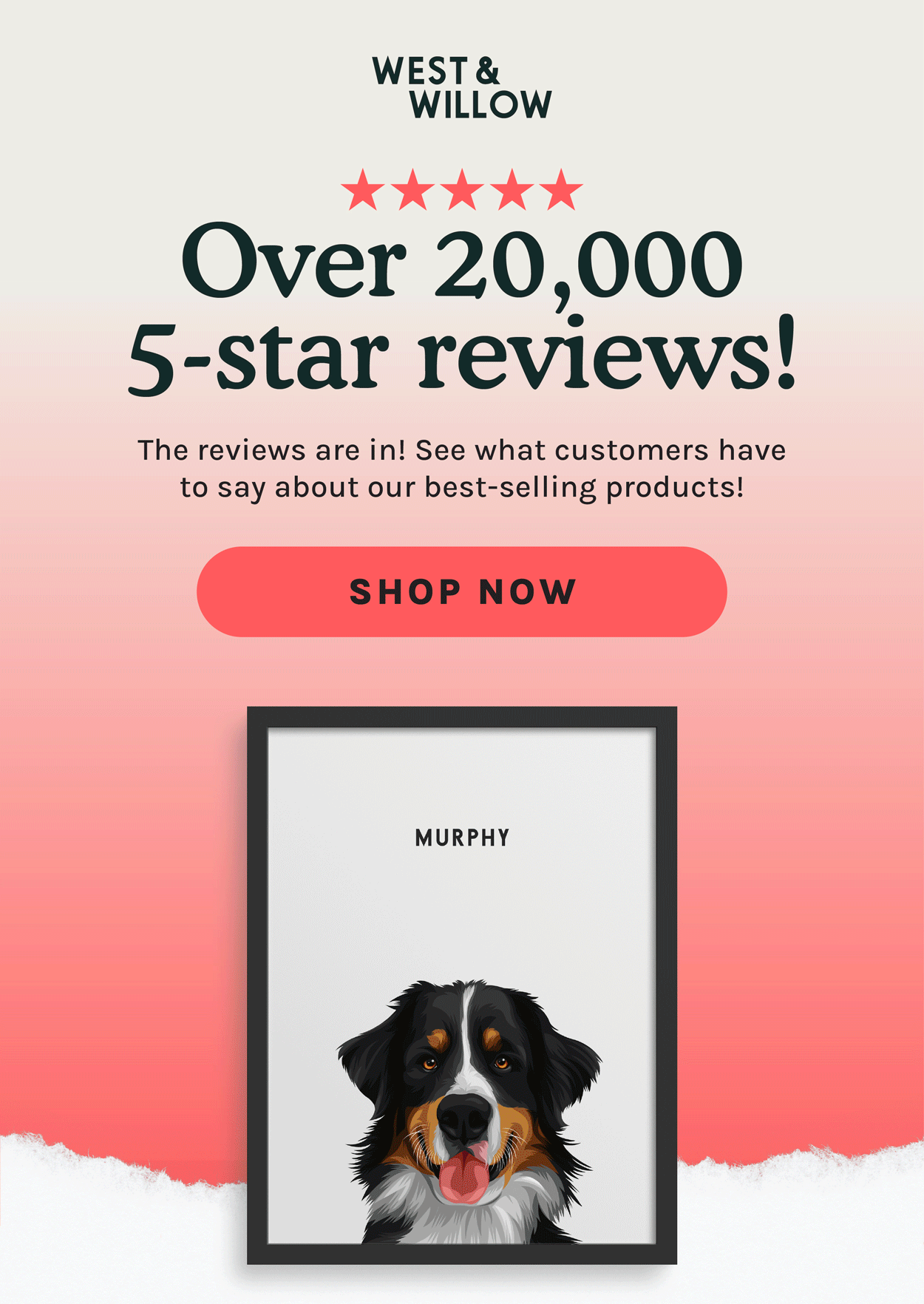 Over 20000 5 Star Review