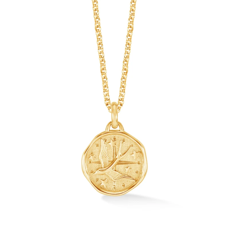 Image of Flying Swallow Talisman Necklace