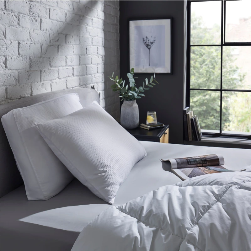 Image of The Perfect Pillow Pair