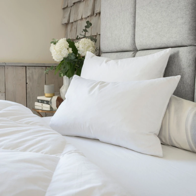 Image of Goose Feather & Down Pillow