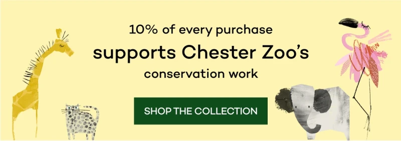 Shop the collection