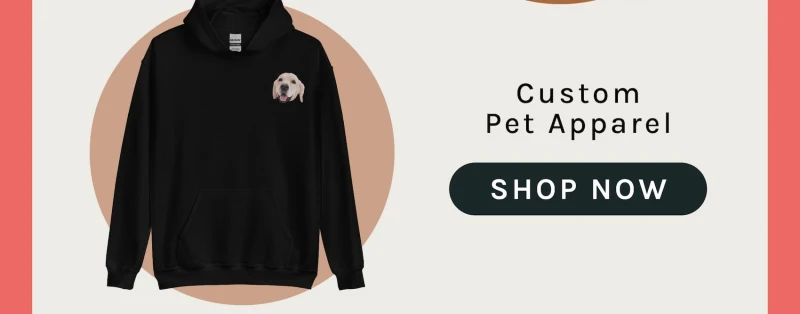 Apparel