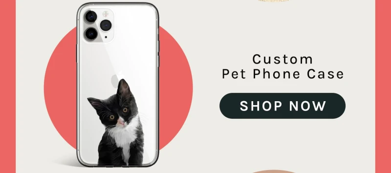 Phone Cases