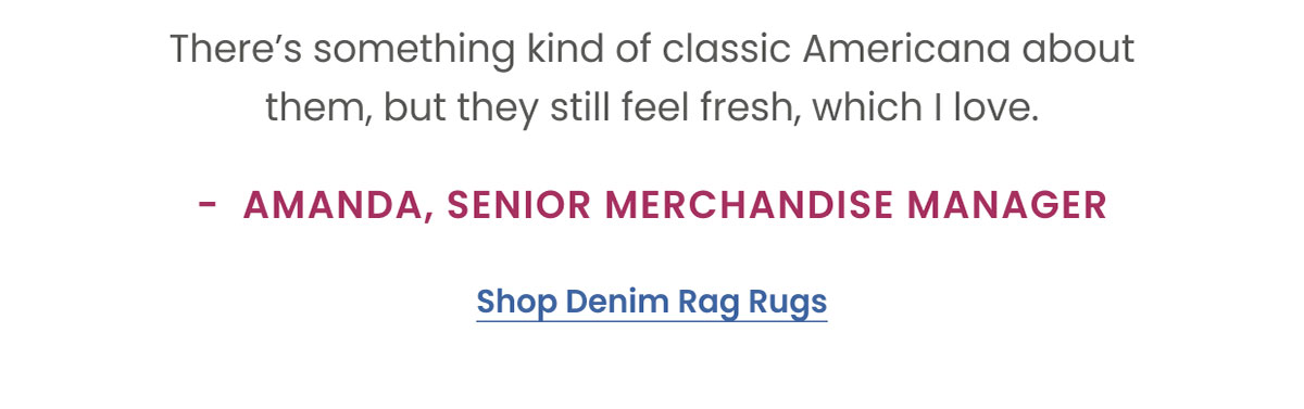 Shop Denim Rag Rugs