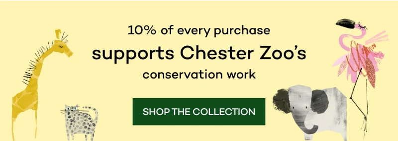 Shop The Collection
