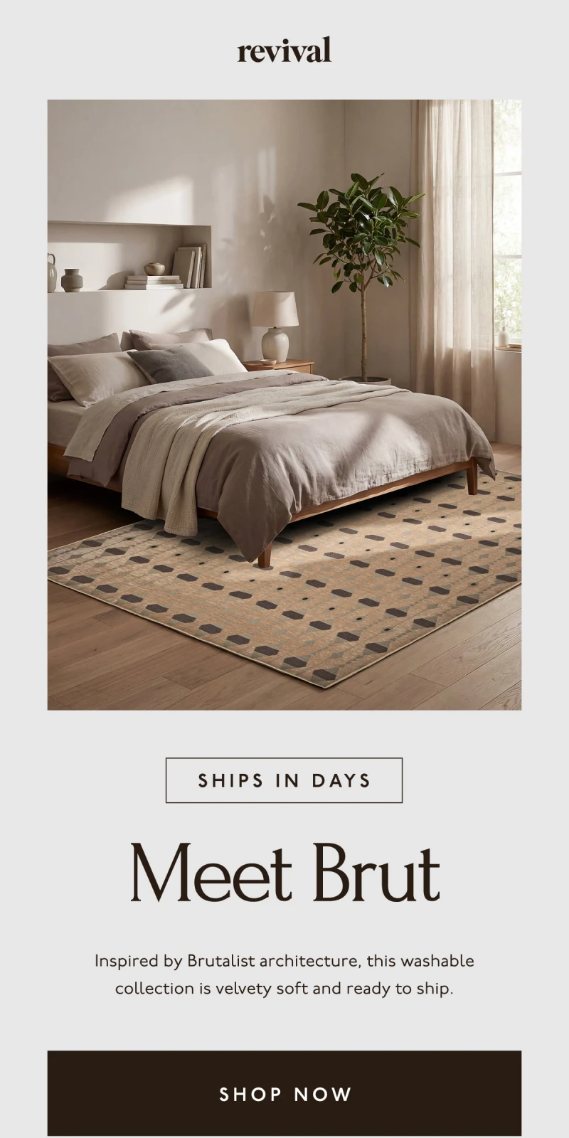 Revival | Meet Brut | SHIPS IN DAYS | Inspired by Brutalist architecture, this washable collection is velvety soft and ready to ship. | [SHOP NOW ]