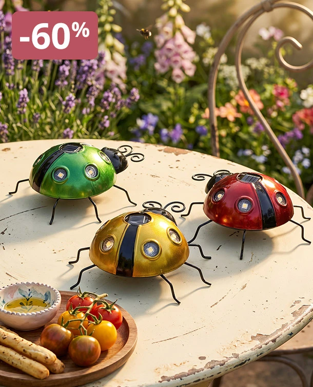 Coccinelle décorative