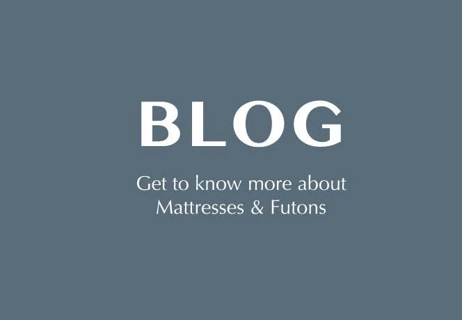 blog