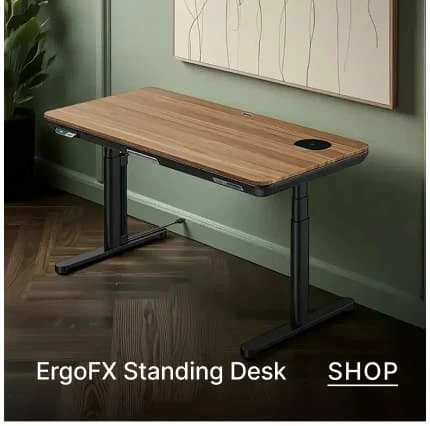 ergo fx standing desk