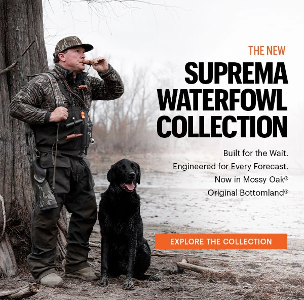 The New Suprema Collection