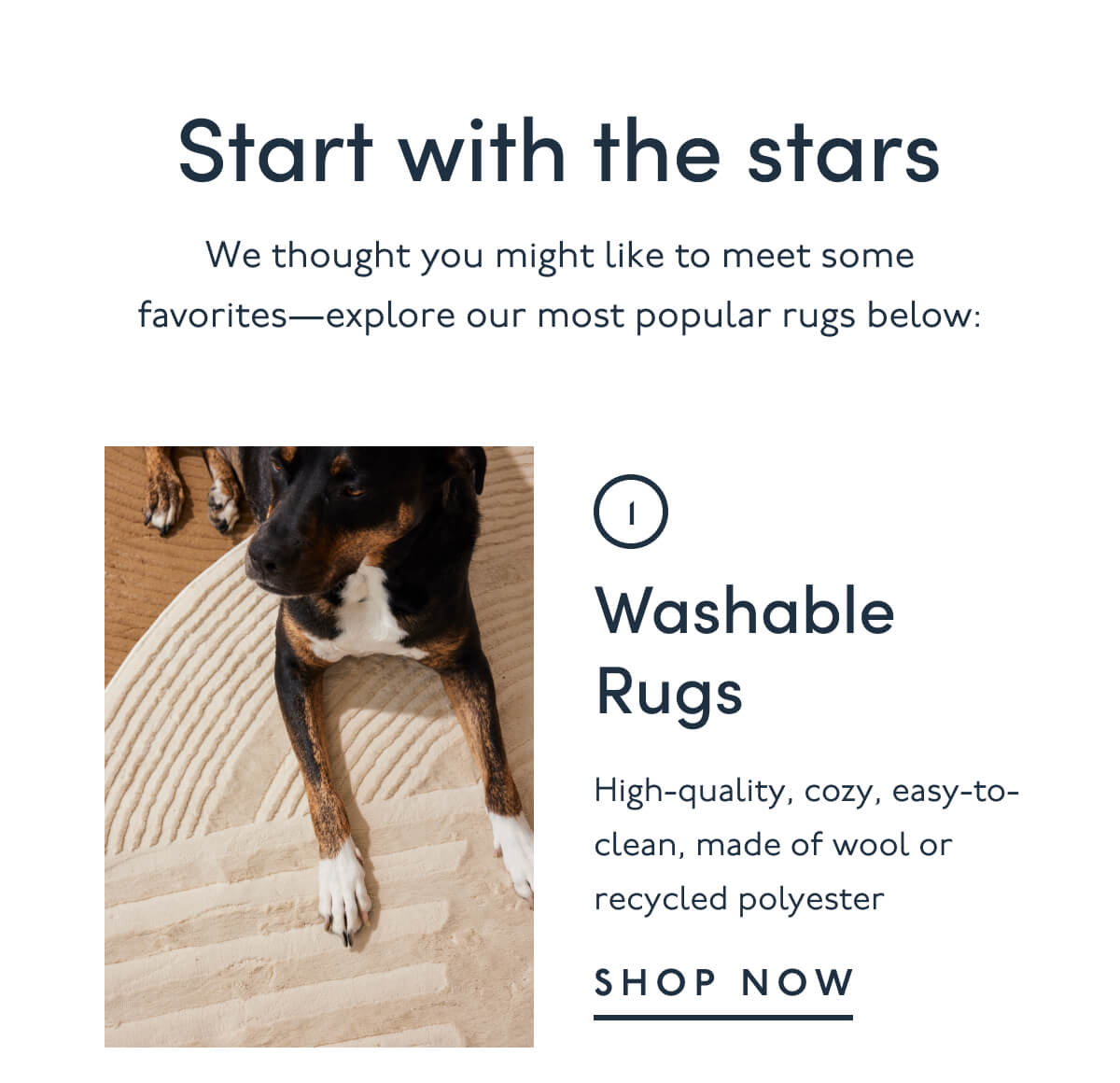 Start with the stars | We thought you might like to meet some favorites—explore our most popular rugs below: 1. Washable Rugs | High-quality, cozy, easy-to-clean, made of wool or recycled polyester | Shop Now