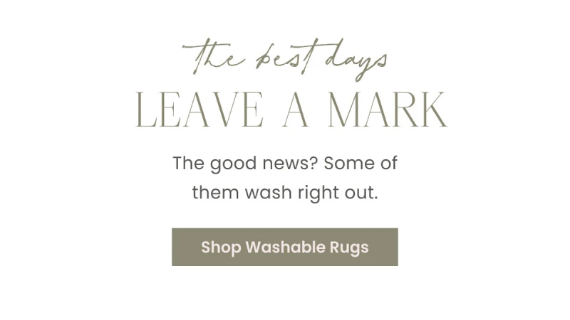 Shop Washable Rugs