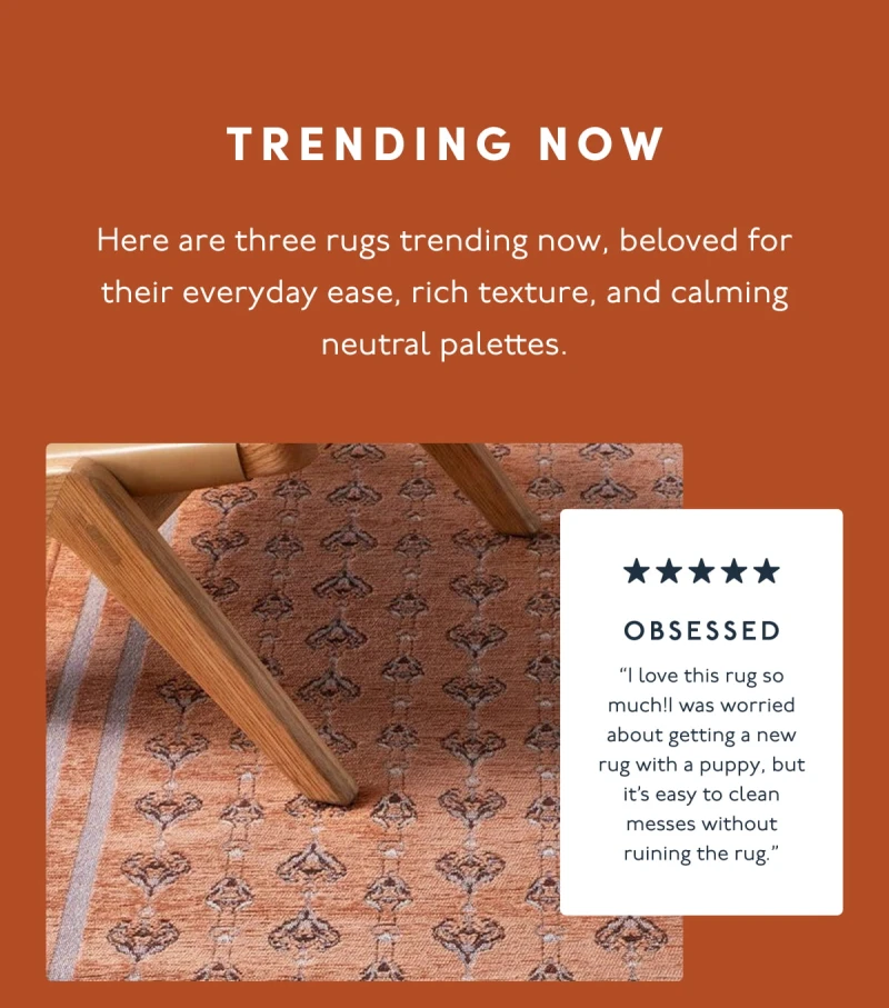 TRENDING NOW | Here are three rugs trending now, beloved for their everyday ease, rich texture, and calming neutral palettes. | OBSESSED | “I love this rug so much!I was worried about getting a new rug with a puppy, but it’s easy to clean messes without ruining the rug.”