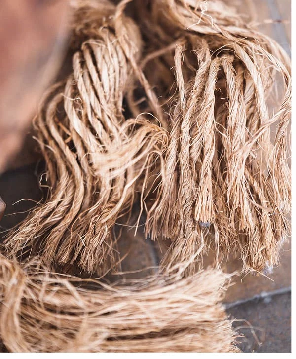 Shop Jute & Sisal Rugs