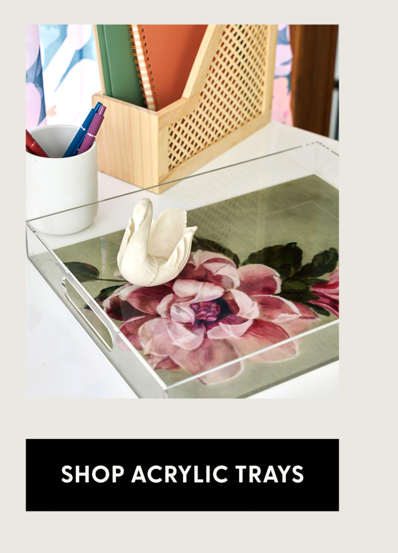 shop acrylic trays
