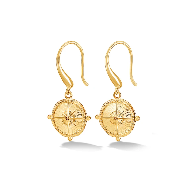 Image of True North Story Drop Earrings
