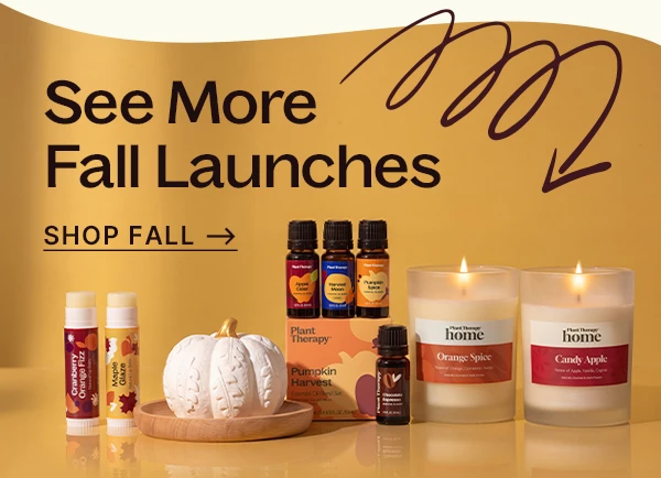 NEW For Fall