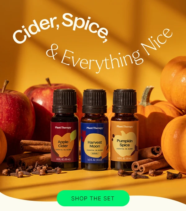 NEW For Fall