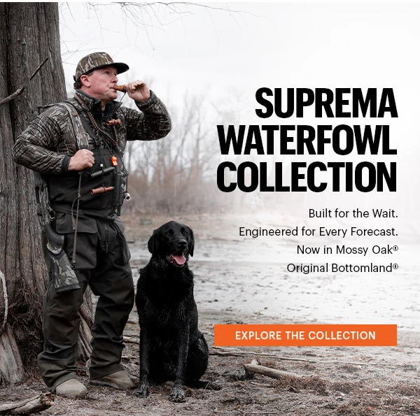 Waterfowl Collection