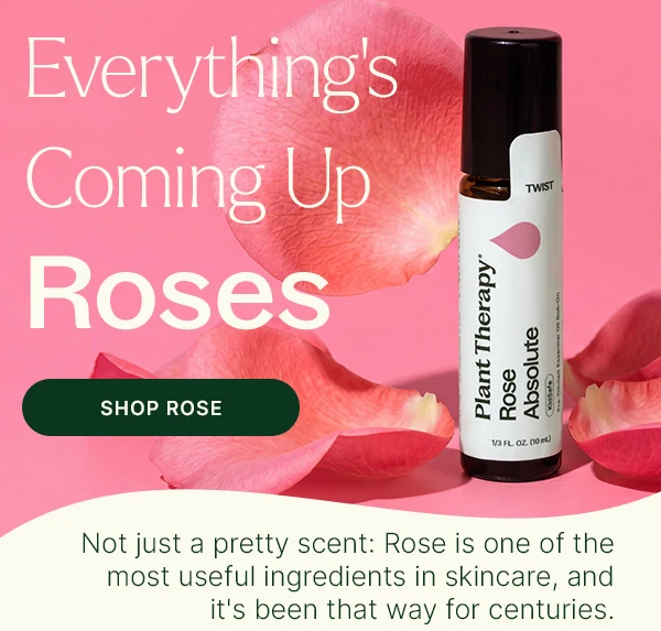 Shop Fan-Favorite: Rose Absolute