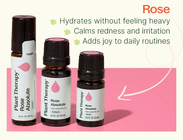 Shop Fan-Favorite: Rose Absolute