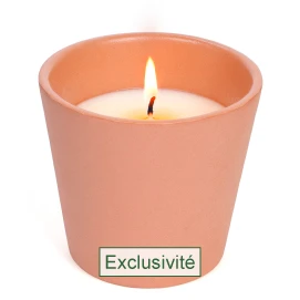 La bougie parfum&eacute;e citronnelle Terre d'Oc