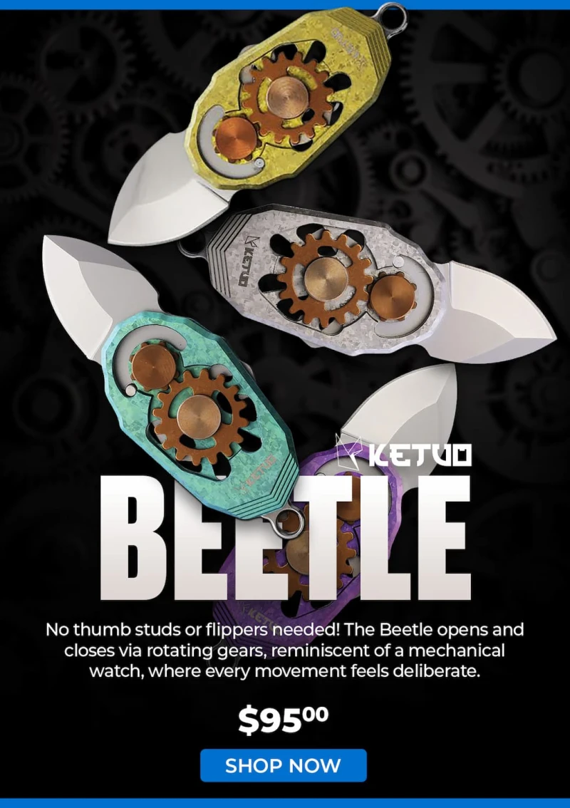 Ketuo Beetle