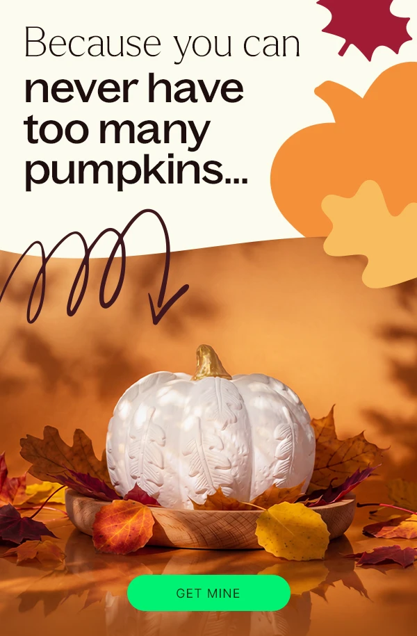 Shop Our NEW Pumpkin Passive Diffuser