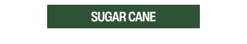 Sugar Cane Sugar Cane has specialized in denim since the 1970s, producing jeans with vintage-inspired details and rare production methods. The brand is known for experimenting with sugarcane fiber blends, giving its fabrics unique texture and fading qualities. Using vintage shuttle looms, 100% natural indigo, and original hardware, Sugar Cane delivers denim that feels both classic and distinctive. The brand appeals to enthusiasts who value detail, durability, and experimentation.