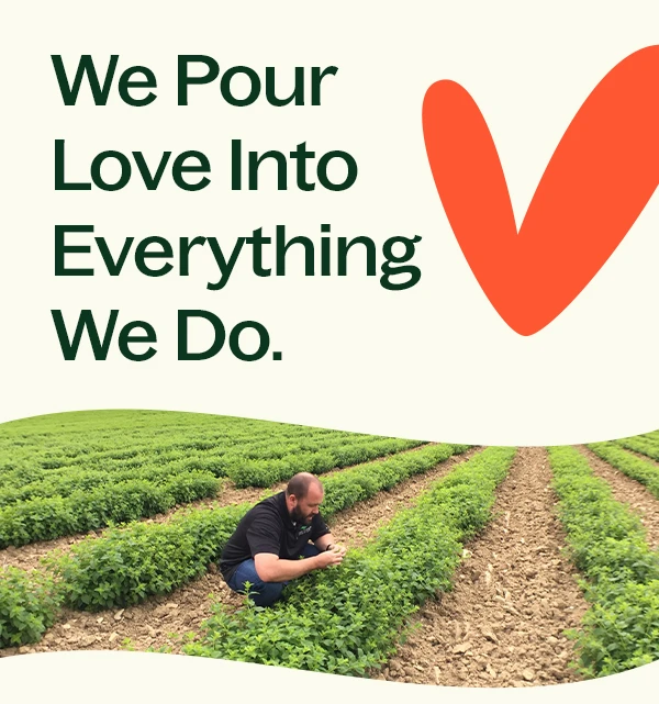 We Pour Love Into Everything We Do