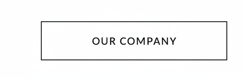 Our Company