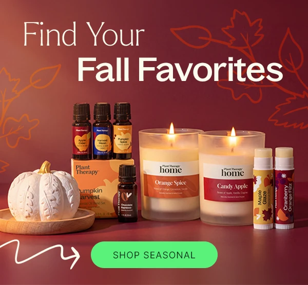 ALL NEW: Fall Favorites