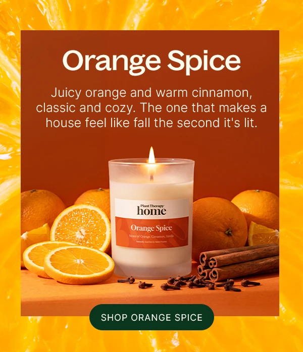 NEW Fall Candles: Orange Spice