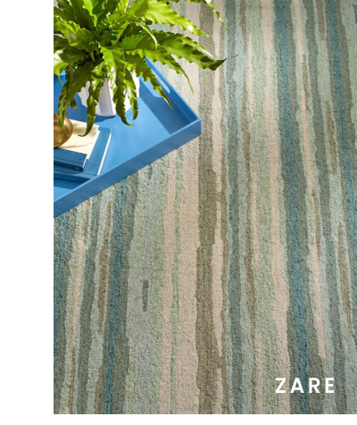 Shop Zare Transitional Abstract Indoor Rug