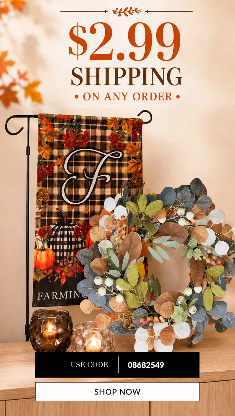 $2.99 shipping on any order