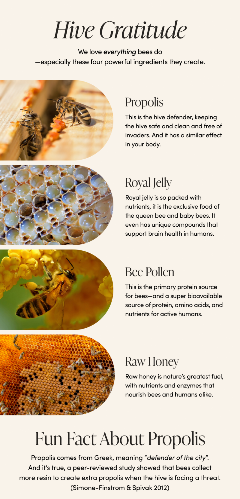 Hive Gratitude        We love everything bees do—especially the four powerful ingredients they make.      Propolis This is the hive defender, keeping the hive safe and clean and free of invaders. And it has a similar effect in your body.      Royal Jelly   Royal jelly is so packed with nutrients, it is the exclusive food of the queen bee and baby bees. It even has unique compounds that support brain health in humans.   Bee Pollen This is the primary protein source for bees—and a super bioavailable source of protein, amino acids, and nutrients for active humans.   Raw Honey Raw honey is nature’s greatest fuel, with nutrients and enzymes that nourish bees and humans alike. Fun Fact About Propolis  Propolis comes from Greek, meaning “defender of the city”. And it’s true, a peer-reviewed study showed that bees collect more resin to create extra propolis when the hive is facing a threat. (Simone-Finstrom & Spivak 2012)      