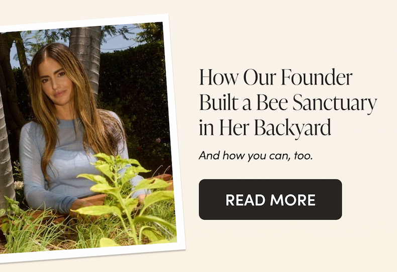 How Our Founder Built a Bee Sanctuary in Her Backyard And how you can, too. CTA: READ CARLY’S SUBSTACK   