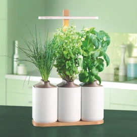 Le potager d&rsquo;int&eacute;rieur connect&eacute; Lilo