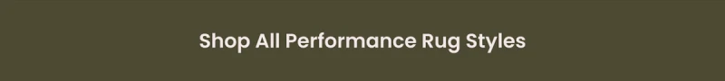 Shop All Performance Rug Styles