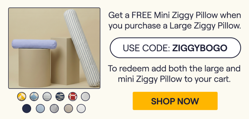 The Alice Mini Ziggy Pillow and Gray Striped Large Ziggy on Pillars 
