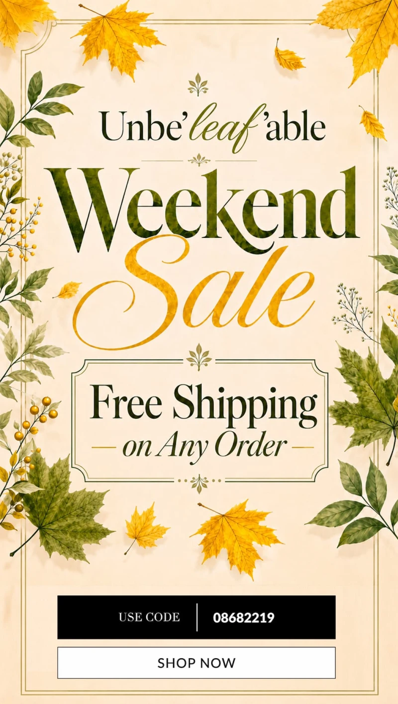 Free shipping on any order