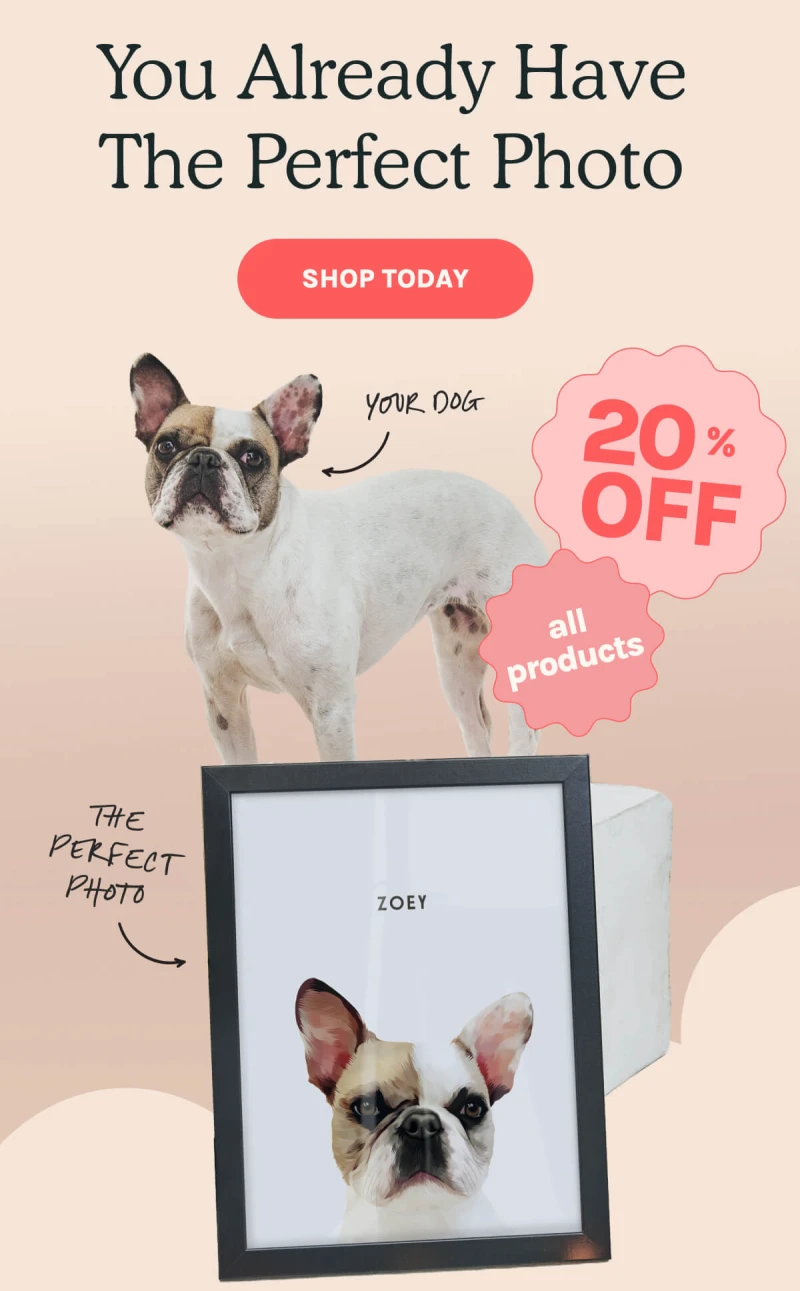 Shop Today