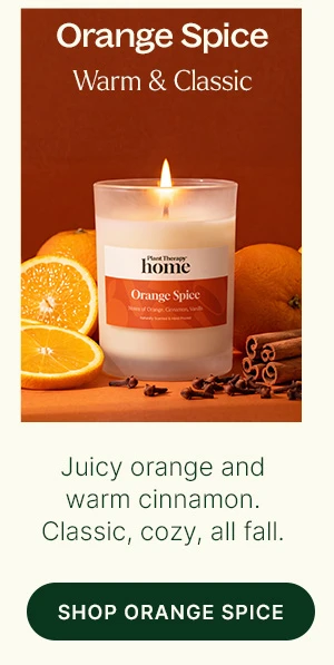 Orange Spice Scented Candle