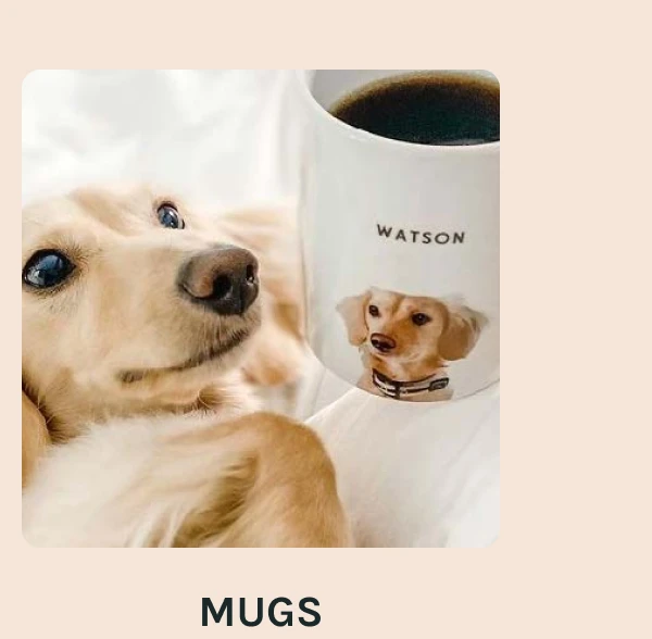 Mugs