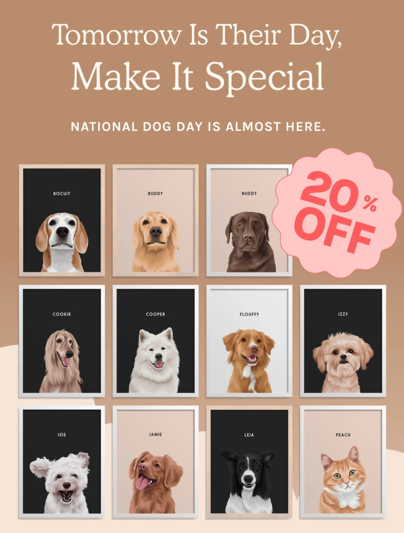 20% off
