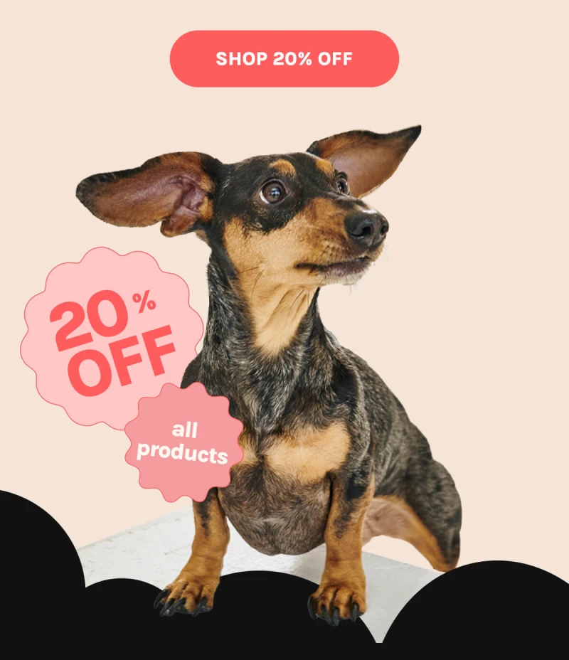 Shop 20% off