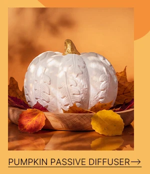 Shop Pumpkin Passive Diffuser