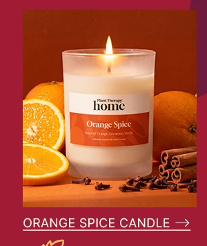 Shop Orange Spice Naturally Scented Candle